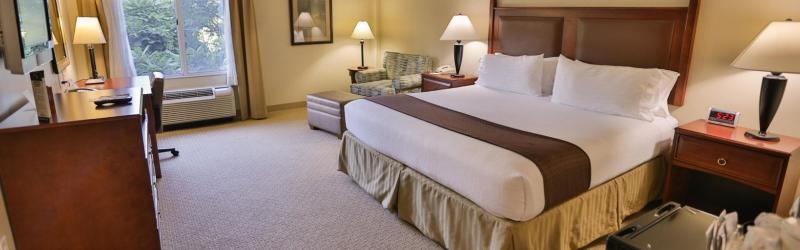 Holiday Inn Express & Suites Asheville Downtown By Ihg Экстерьер фото